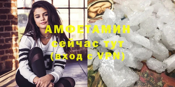 молекула духа Новозыбков