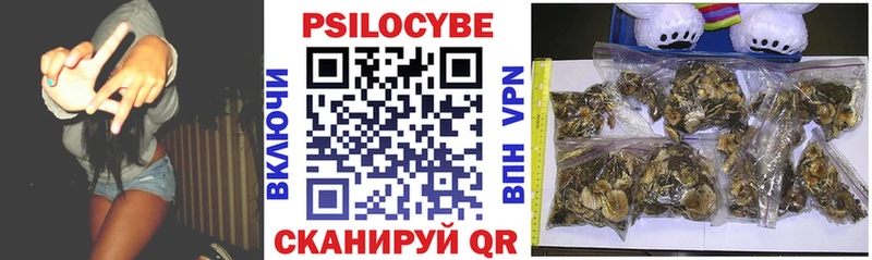 ссылка на мегу   Вичуга  Псилоцибиновые грибы MAGIC MUSHROOMS 